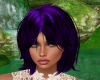 Quaysarah Deep Purple
