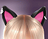 Sweet Cat Noir Ears