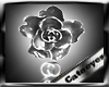 {CT} silver earing