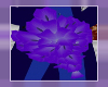 OSP Purple Lillies