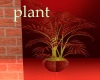 red wild plant