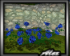 ~A~   Blue  Roses  Bush