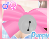 [Pup] Chest Bow & Bell