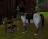 *WHITE/ BLACK* INN HORSE