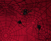 Karaduls Spider Nest