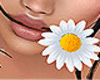 Daisy In Mouth F