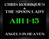 Spoon Lady ~ Angels In H