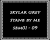=S=Skylar Grey StandByMe
