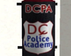 DCPA Punching Bag