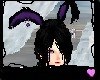 Nio Purple Bunny