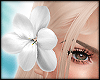 💎 Gisel Flower