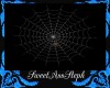 [SS] Spider Web