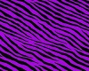 purple Zebra Curtain