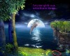 Dolphin jumping moon