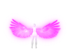 Pink Glow Wings