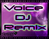 Dzk|Voice DJ Remix