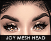 ! joy v.2 mesh head | t1
