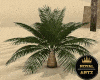 Anime Egypt Palm Tree