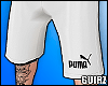 Bermuda PMA