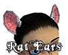 Rat Ears