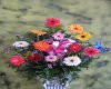 bouquet 7