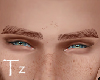 Tz┇Eyebrows Ginger™