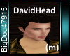 [BD]DavidHead (m)
