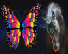 S}NeonButterflies