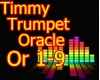 C4N Timmy Trumpet Trnce
