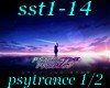 sst1-14  p1/2