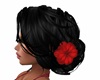 Rose  raven black