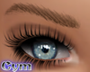 Cym Standard Eyebrows DB