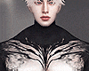 金 Blackout T1 - Skin