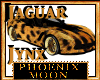 Jynx Jaguar Ninja One