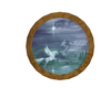 pegasus picture 5