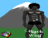 BlackWolf(M)