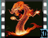 [KD] Fire Dragon Shirt