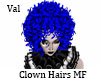 Clown Hairs MF Blue