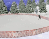 Christmas skating rink