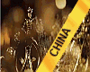 MGI CHINA SASH