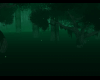 Dark Spooky Forest