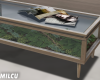 Terrarium center table