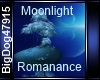 [BD] Moonlight Romanance