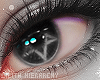 LH Christmas Eyes III <
