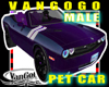 VG Purple AVI Car M 2020