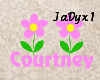 Courtney Name Sign