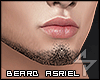 s. Asriel Beard MIh