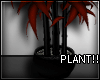 A-DECO Plant