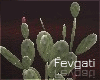 Flowered Cactus + Pot