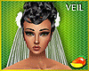 Filipiniana Wedding Veil